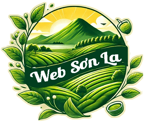 websonla.com